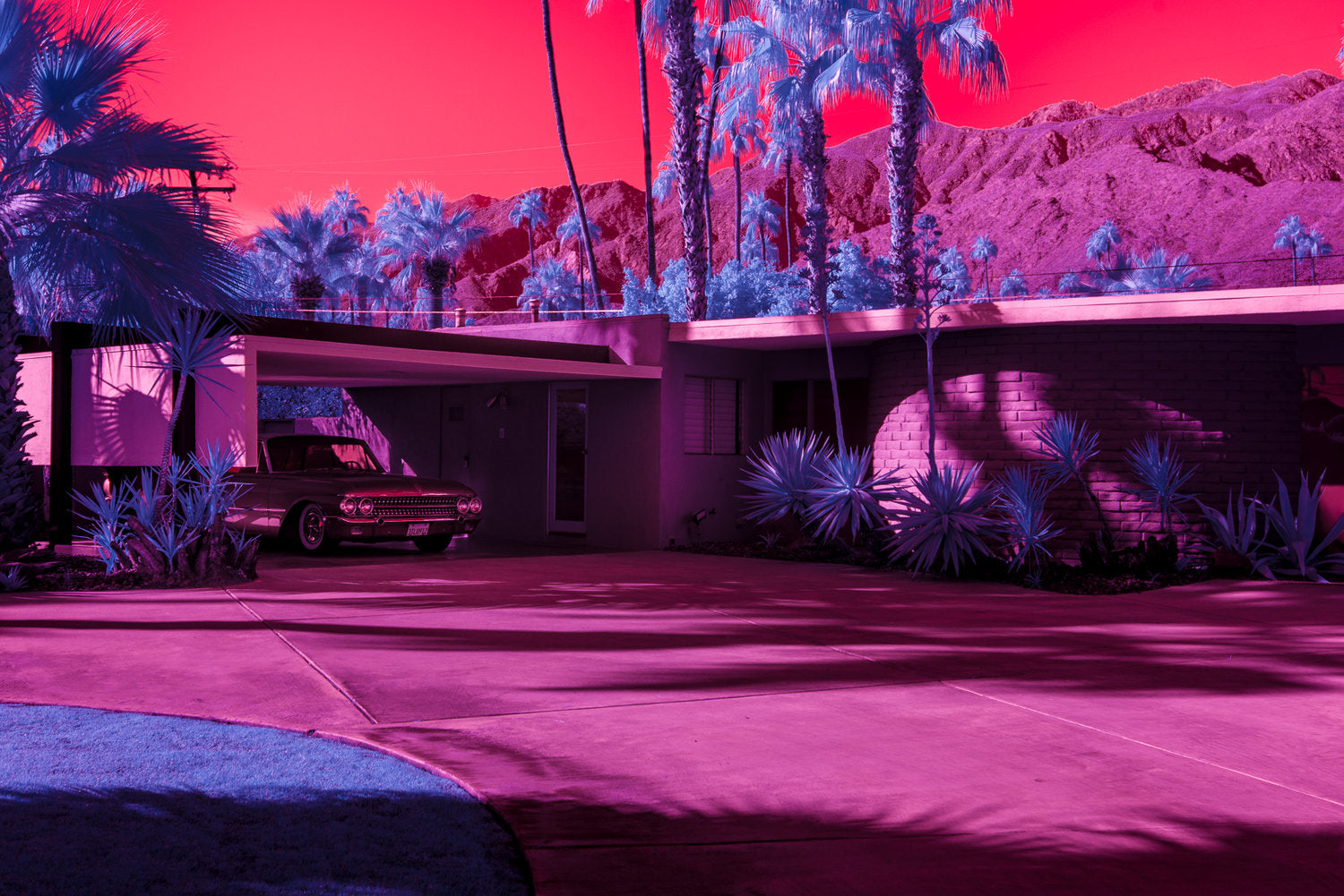 Infrared Palm Springs by Kate Ballis