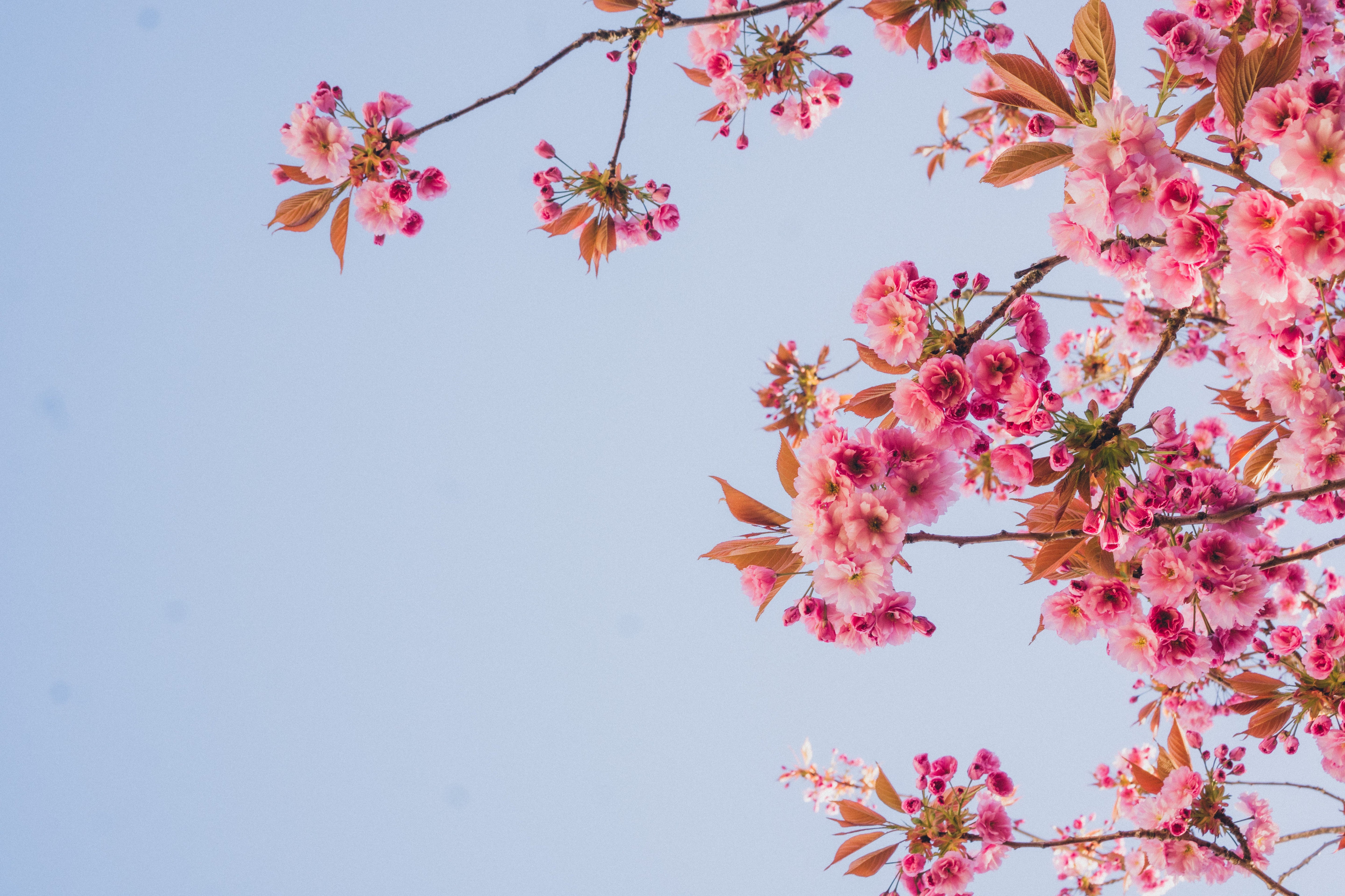 Mothers Day Gift Guide