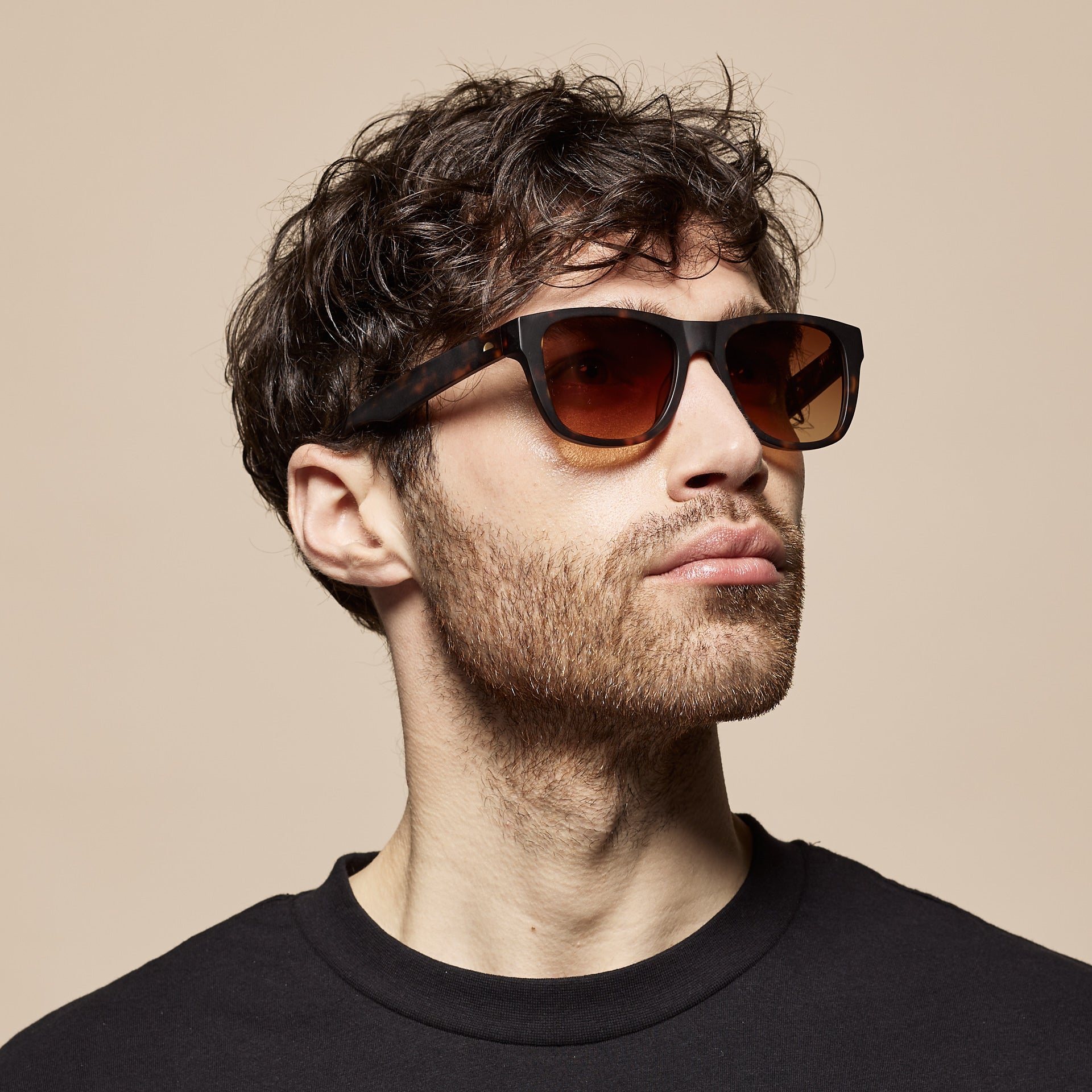 Tens Classic Original / Matte Dark Tort Sunglasses 4