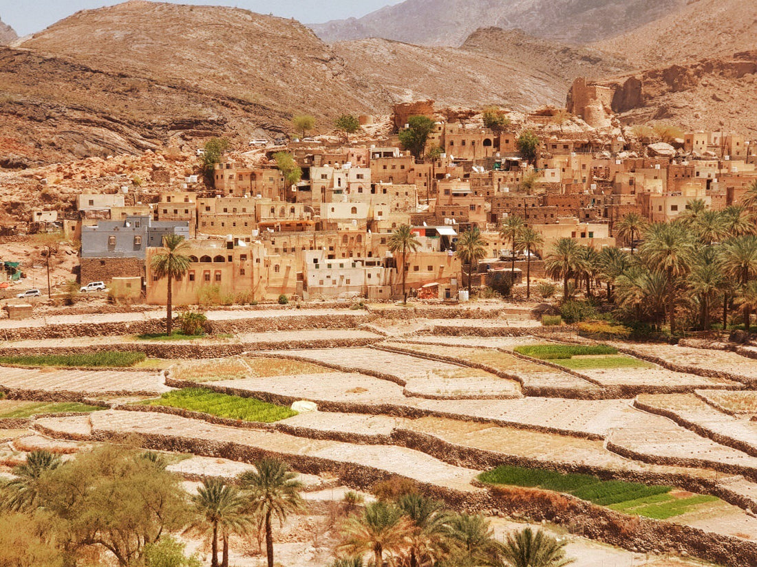 4 Jeeps. 3 Days. 1 Trip to Oman☀️