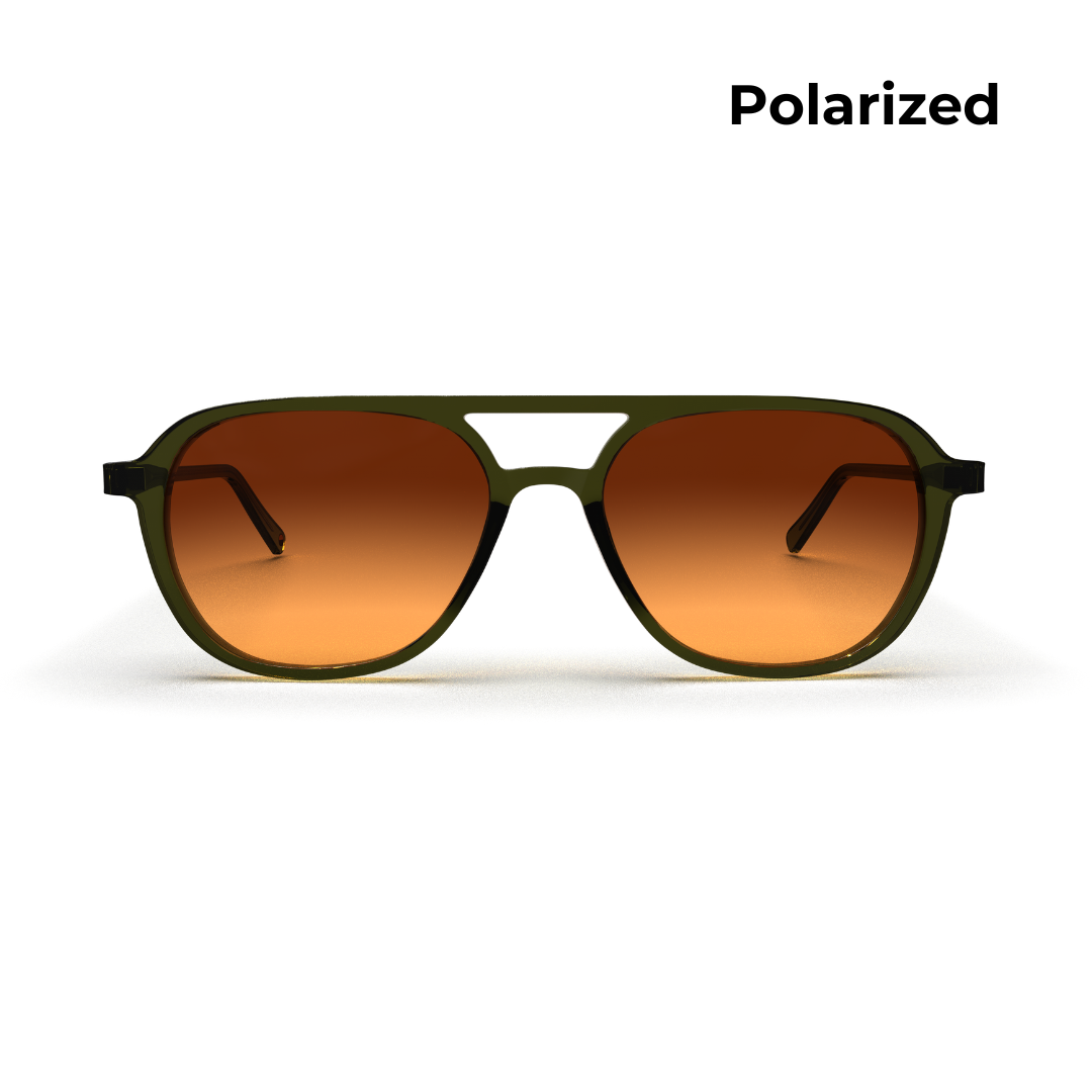 Bryce- Polarized