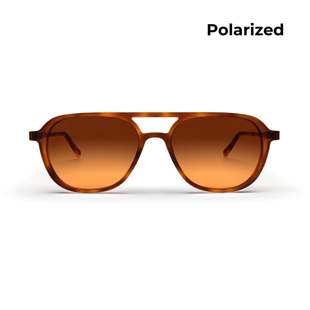 Bryce- Polarized