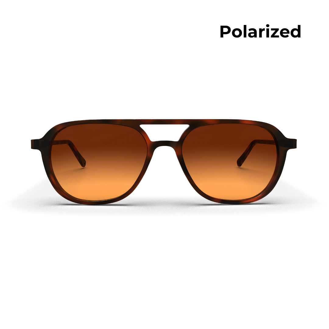Bryce- Polarized