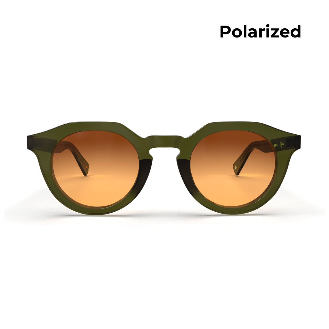 Carter - Polarized