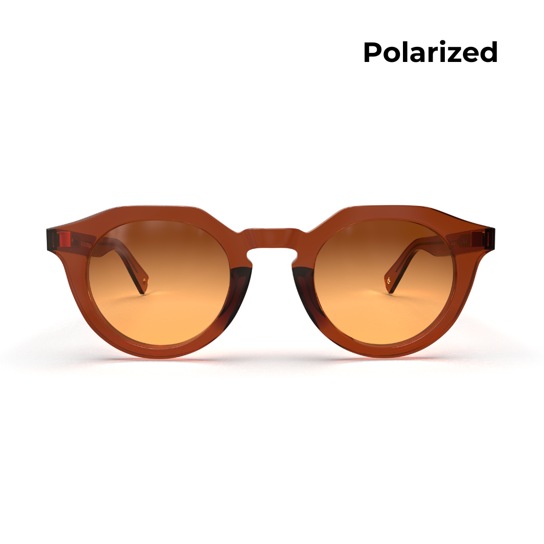 Carter - Polarized