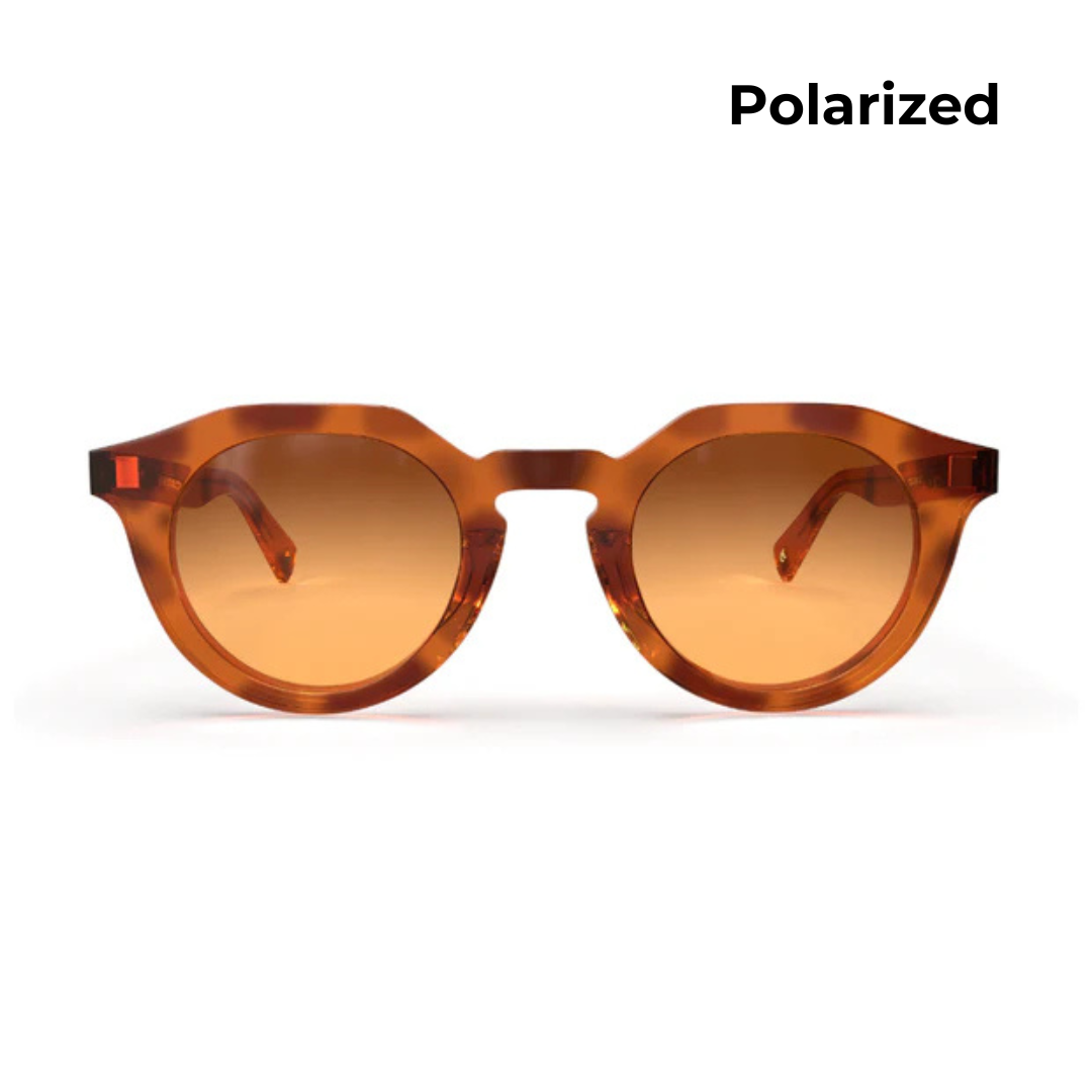 Carter - Polarized