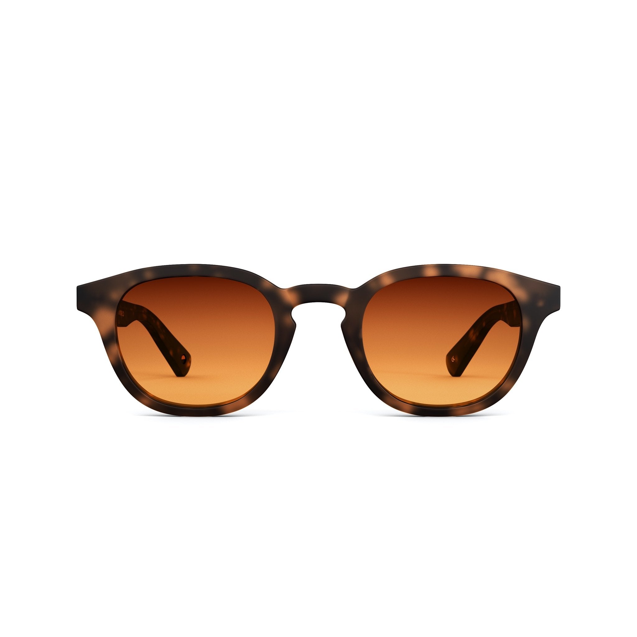 Tens Dustin Original / Matte Dark Tort Sunglasses 1
