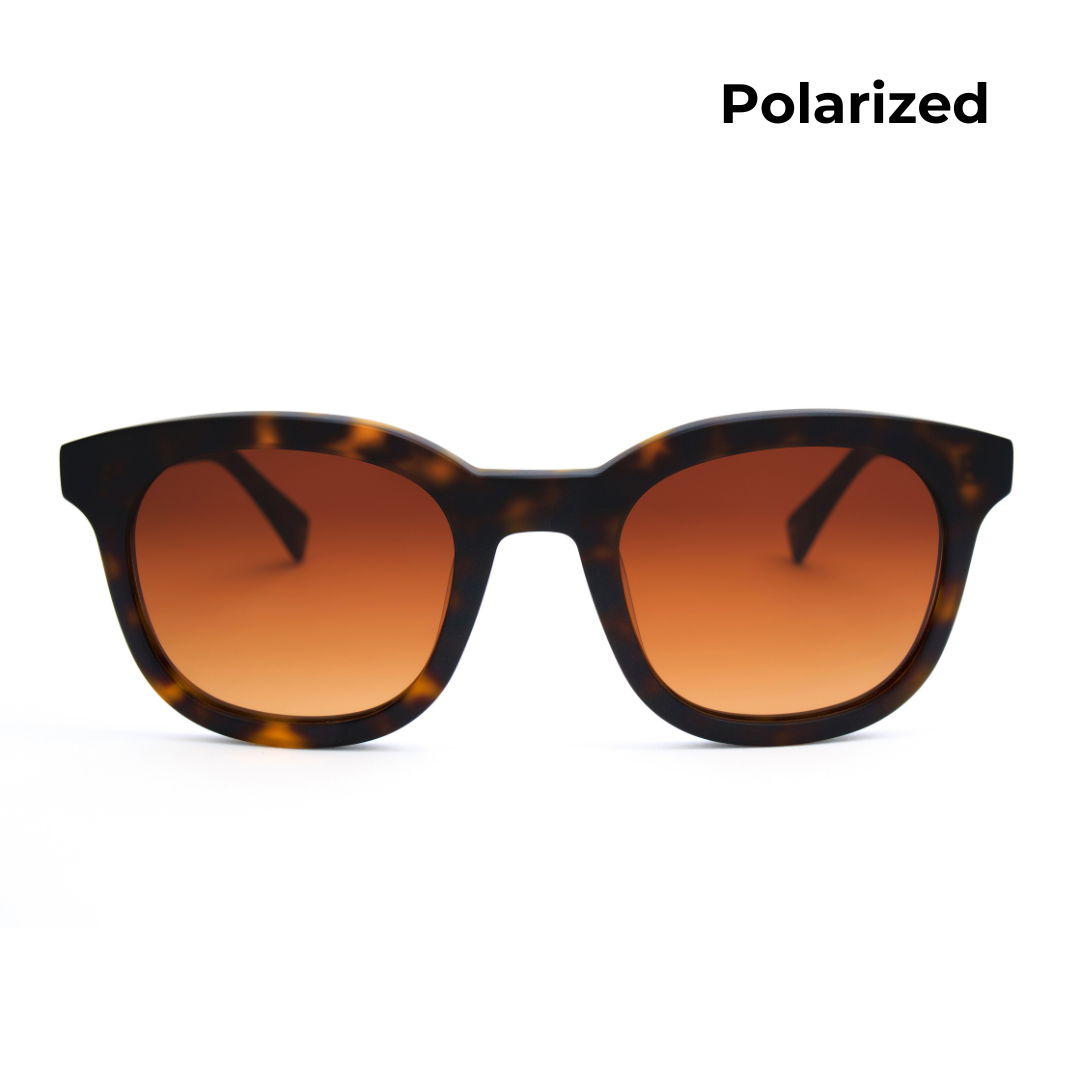 Audrey - Polarized