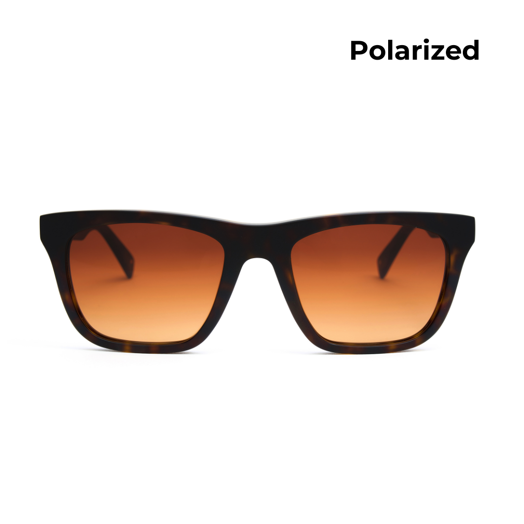 Flint - Polarized