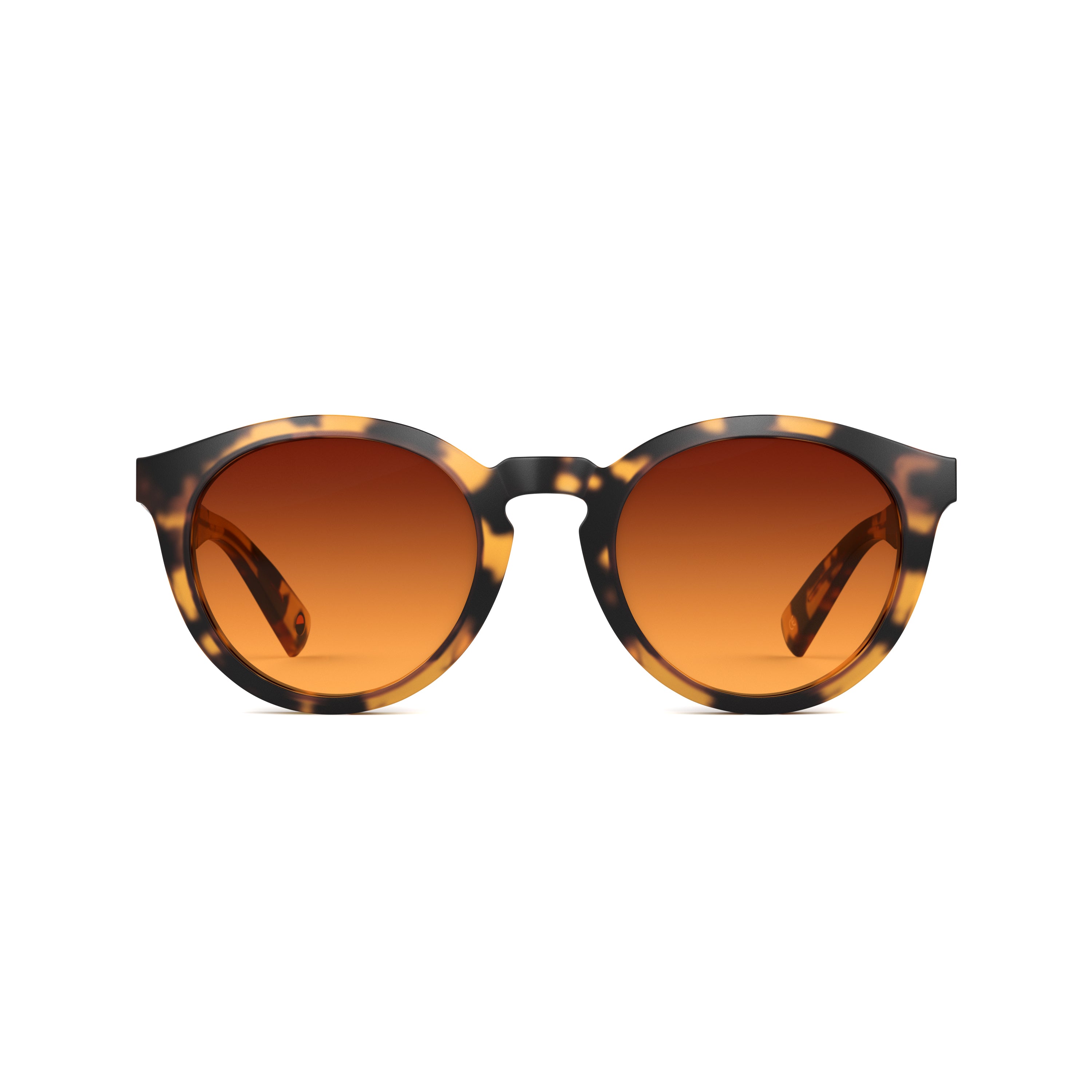 Tens Bailey Original / Matte Light Tort Sunglasses 1