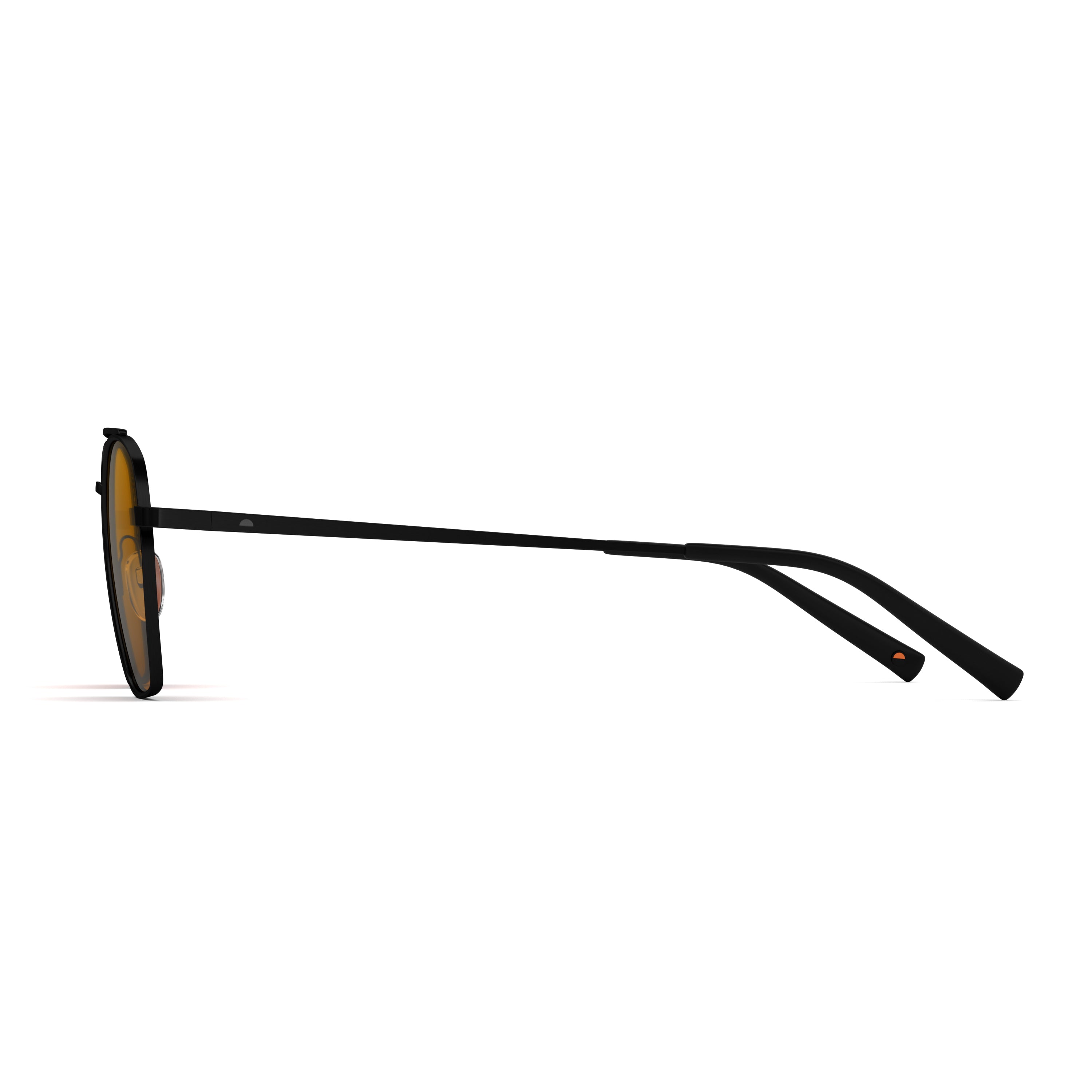Tens Forrest Spectachrome / Black Sunglasses 3