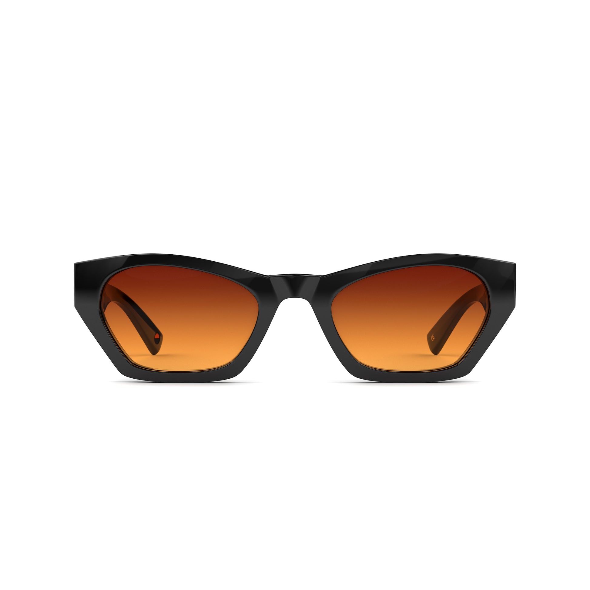 Tens Frankie Original / Polished Black Sunglasses 1