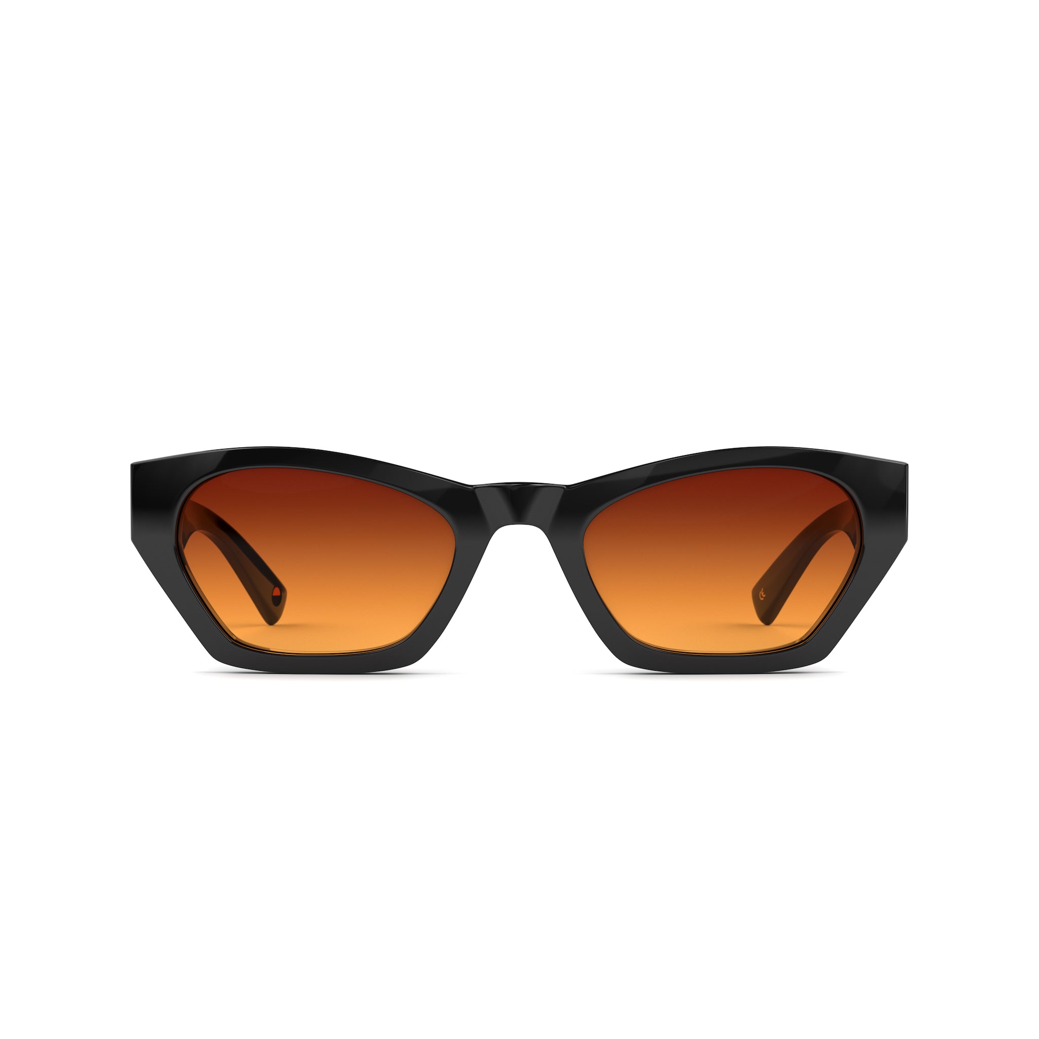 Tens Frankie Original / Polished Black Sunglasses 1