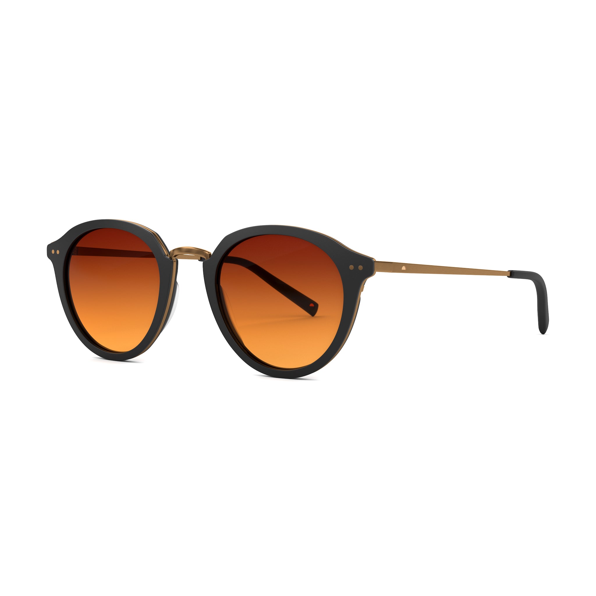 Tens Lane Original / Matte Black Gold Sunglasses 2