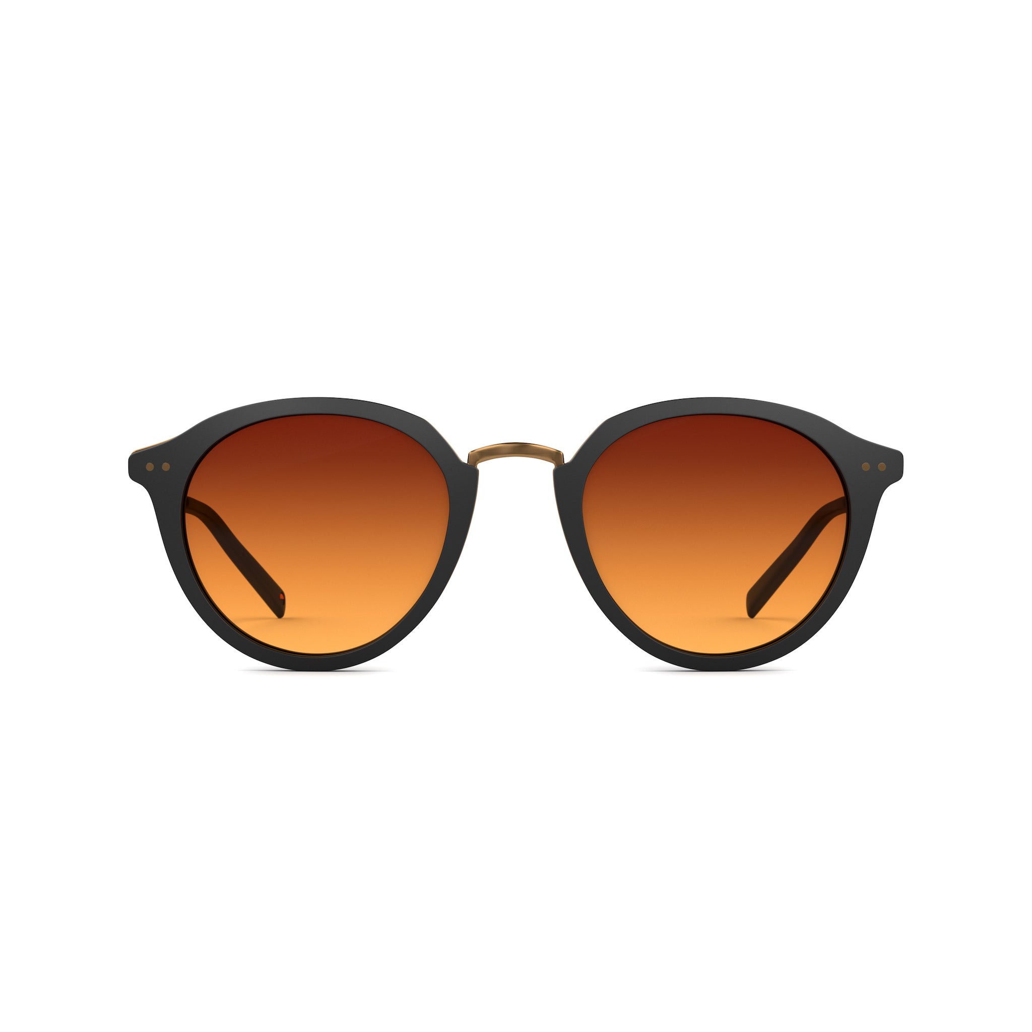 Tens Lane Original / Matte Black Gold Sunglasses 1