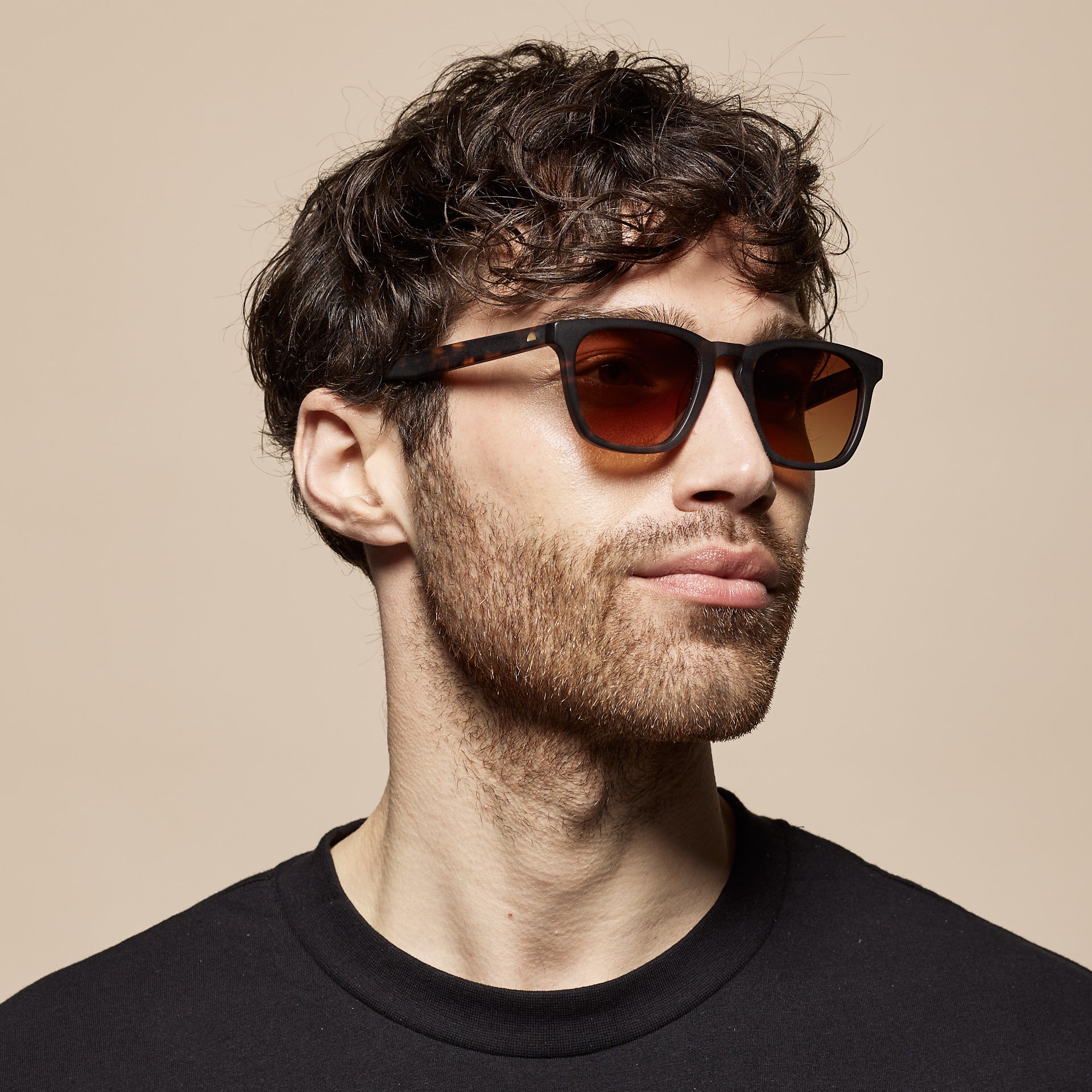Tens Weston Original / Matte Dark Tort Sunglasses 4